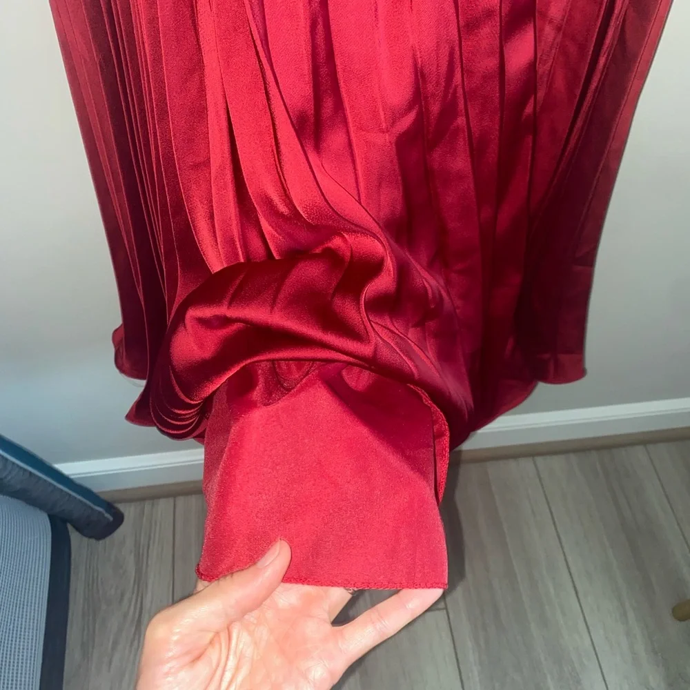Elegant Burgundy Pleated Dress - Picture 10 of 11
